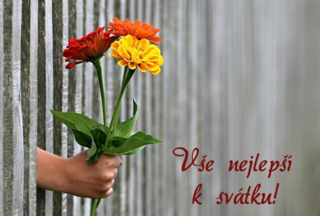 prani k svatku obrazky kvetin zdarma v 49 1024x693
