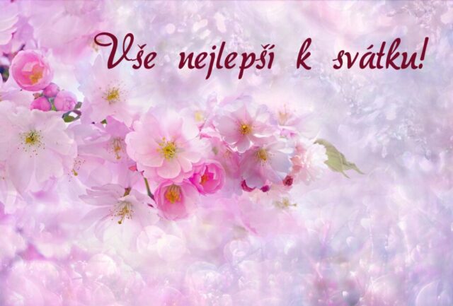 prani k svatku obrazky kvetin zdarma v 50 1024x693
