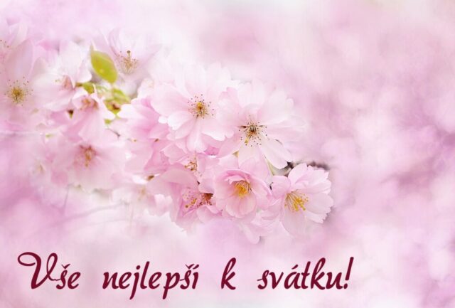 prani k svatku obrazky kvetin zdarma v 51 1024x693
