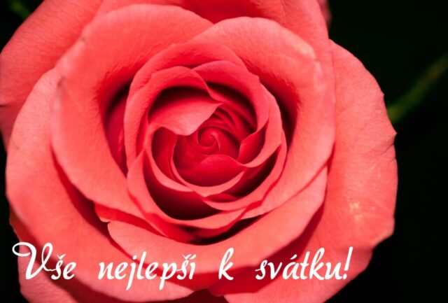 prani k svatku obrazky kvetin zdarma v 58 1024x693
