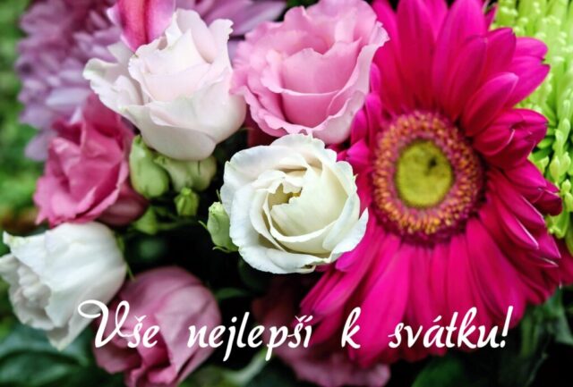 prani k svatku obrazky kvetin zdarma v 59 1024x693