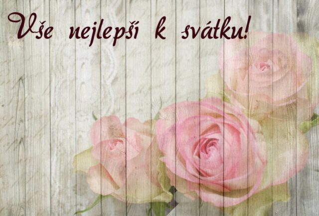 prani k svatku obrazky kvetin zdarma v 63 1024x693