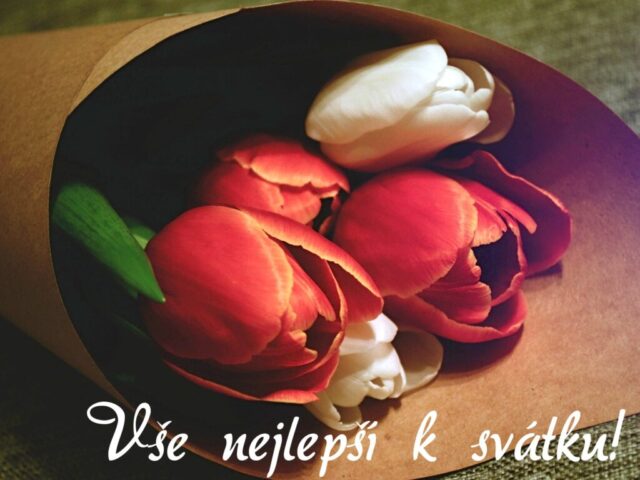 prani k svatku obrazky kvetin zdarma v 64 1024x768