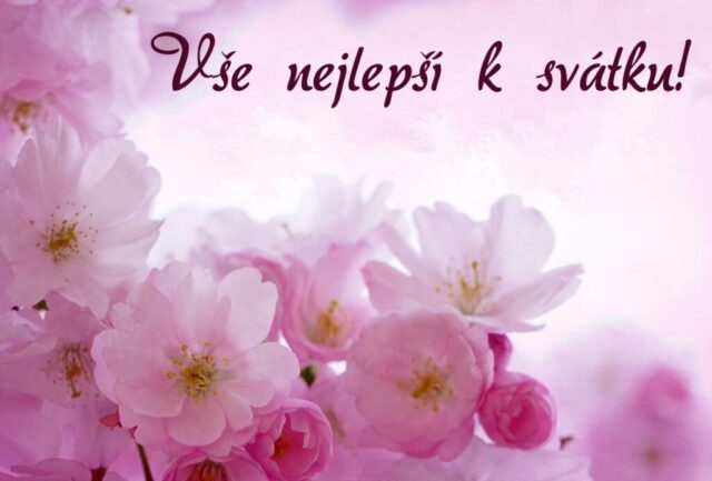 prani k svatku obrazky kvetin zdarma v 65 1024x693