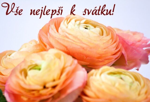 prani k svatku obrazky kvetin zdarma v 69 1024x693