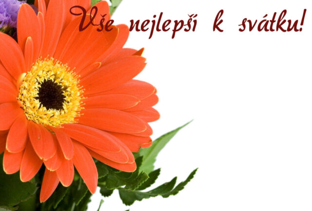 prani k svatku obrazky kvetin zdarma v 70 1024x693