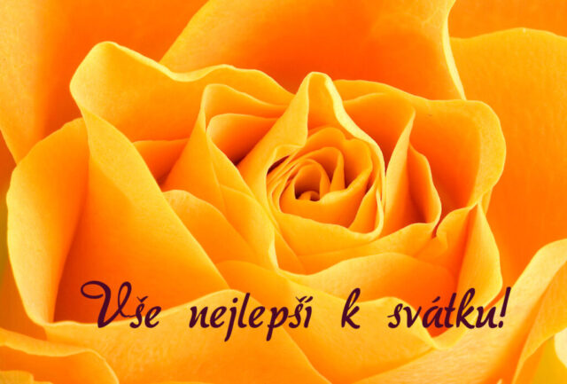 prani k svatku obrazky kvetin zdarma v 73 1024x693