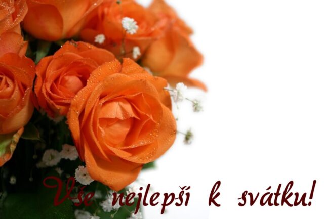 prani k svatku obrazky kvetin zdarma v 85 1024x693
