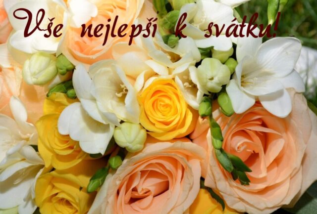 prani k svatku obrazky kvetin zdarma v 86 1024x693