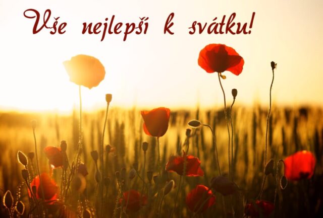 prani k svatku obrazky kvetin zdarma v 92 1024x693