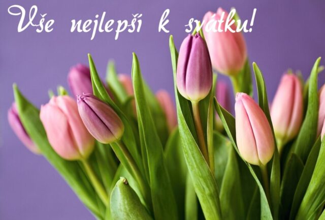 prani k svatku obrazky kvetin zdarma v 94 1024x693