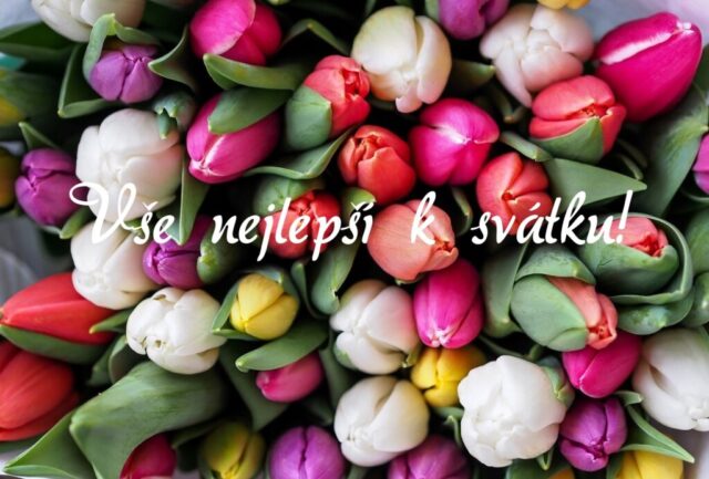 prani k svatku obrazky kvetin zdarma v 96 1024x693
