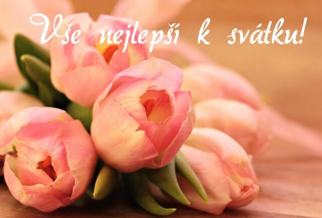 prani k svatku obrazky kvetin zdarma v 98 1024x693