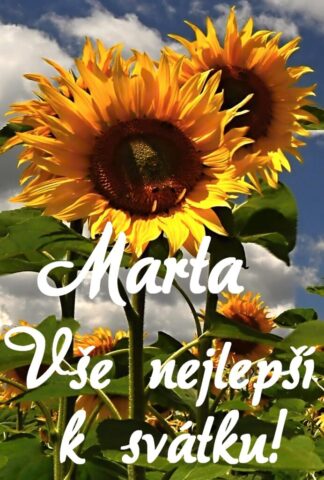 prani k svatku obrazky marta 692x1024