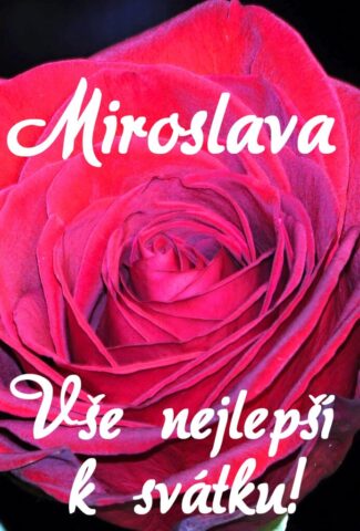 prani k svatku obrazky miroslava 693x1024