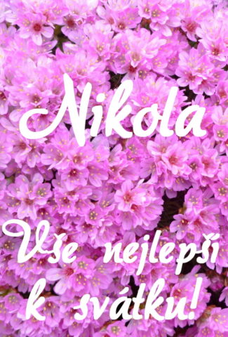 prani k svatku obrazky nikola 693x1024