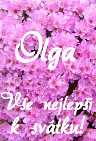 prani k svatku obrazky olga 693x1024