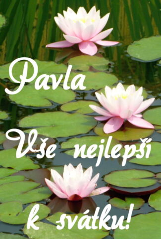 prani k svatku obrazky pavla 693x1024