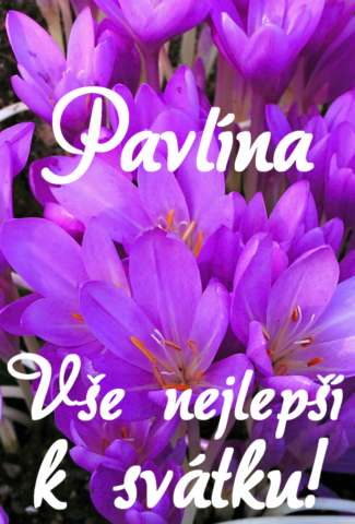 prani k svatku obrazky pavlina 693x1024