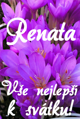 prani k svatku obrazky renata 693x1024