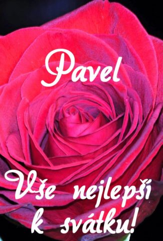 prani k svatku pavel 693x1024
