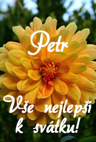 prani k svatku petr 693x1024