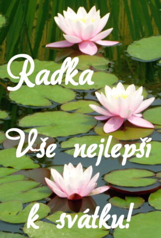 prani k svatku radka obrazky kvetin 19 693x1024