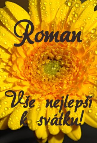 prani k svatku roman 693x1024