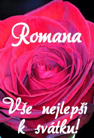 prani k svatku romana obrazky kvetin 12 693x1024