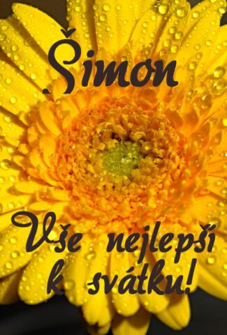 prani k svatku simon obrazky 693x1024