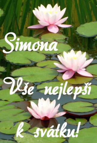 prani k svatku simona obrazky kvetin 21 693x1024