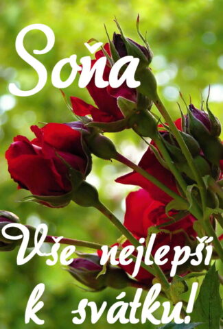 prani k svatku sona obrazky kvetin 9 693x1024
