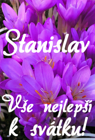 prani k svatku stanislav 693x1024