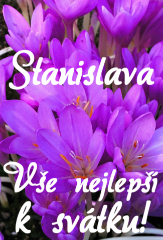 prani k svatku stanislava obrazky kvetin 23 693x1024