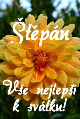 prani k svatku stepan obrazky 693x1024