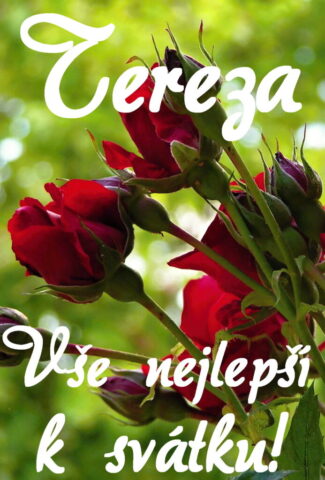 prani k svatku tereza 693x1024