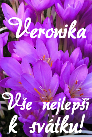 prani k svatku veronika 693x1024