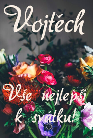 prani k svatku vojtech obrazky kvetin 693x1024
