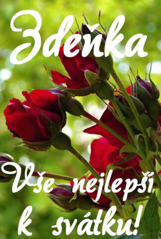 prani k svatku zdenka 693x1024