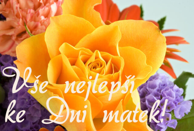 prani ke dni matek zdarma na sirku 001 1024x693