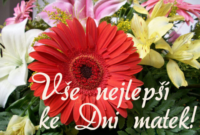 prani ke dni matek zdarma na sirku 008 1024x693