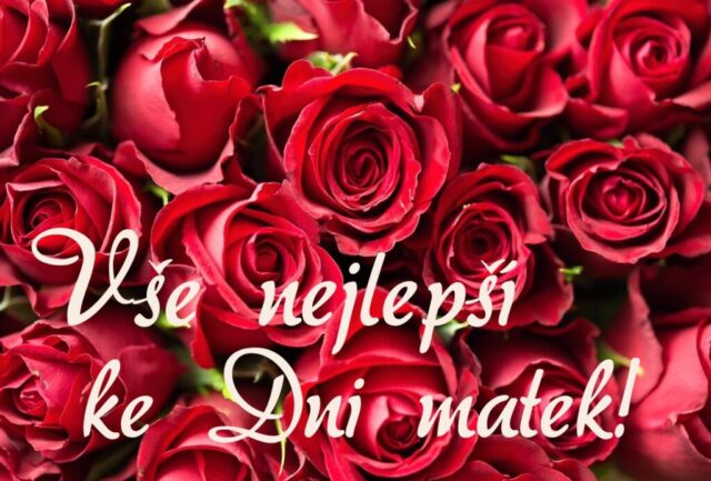 prani ke dni matek zdarma na sirku 010 1024x693