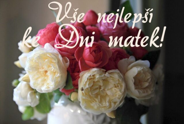 prani ke dni matek zdarma na sirku 017 1024x693