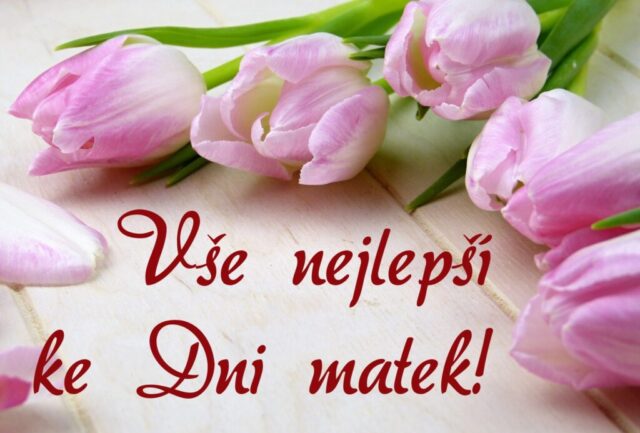 prani ke dni matek zdarma na sirku 025 1024x693