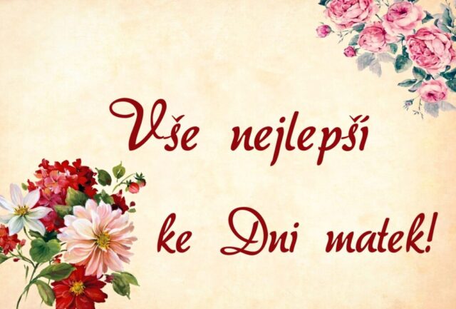 prani ke dni matek zdarma na sirku 029 1024x693