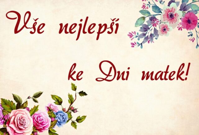 prani ke dni matek zdarma na sirku 031 1024x693