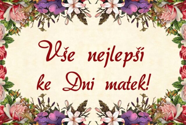 prani ke dni matek zdarma na sirku 032 1024x693