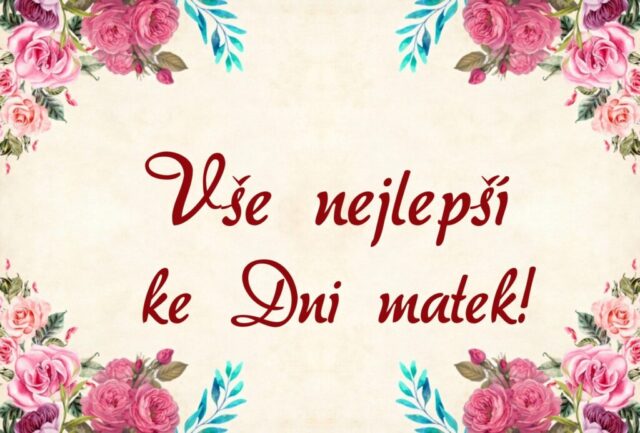 prani ke dni matek zdarma na sirku 034 1024x693