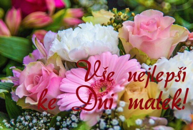 prani ke dni matek zdarma na sirku 036 1024x693