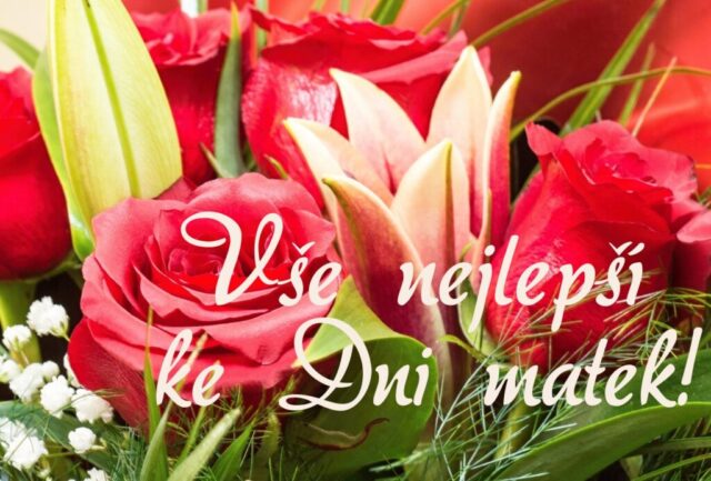 prani ke dni matek zdarma na sirku 037 1024x693